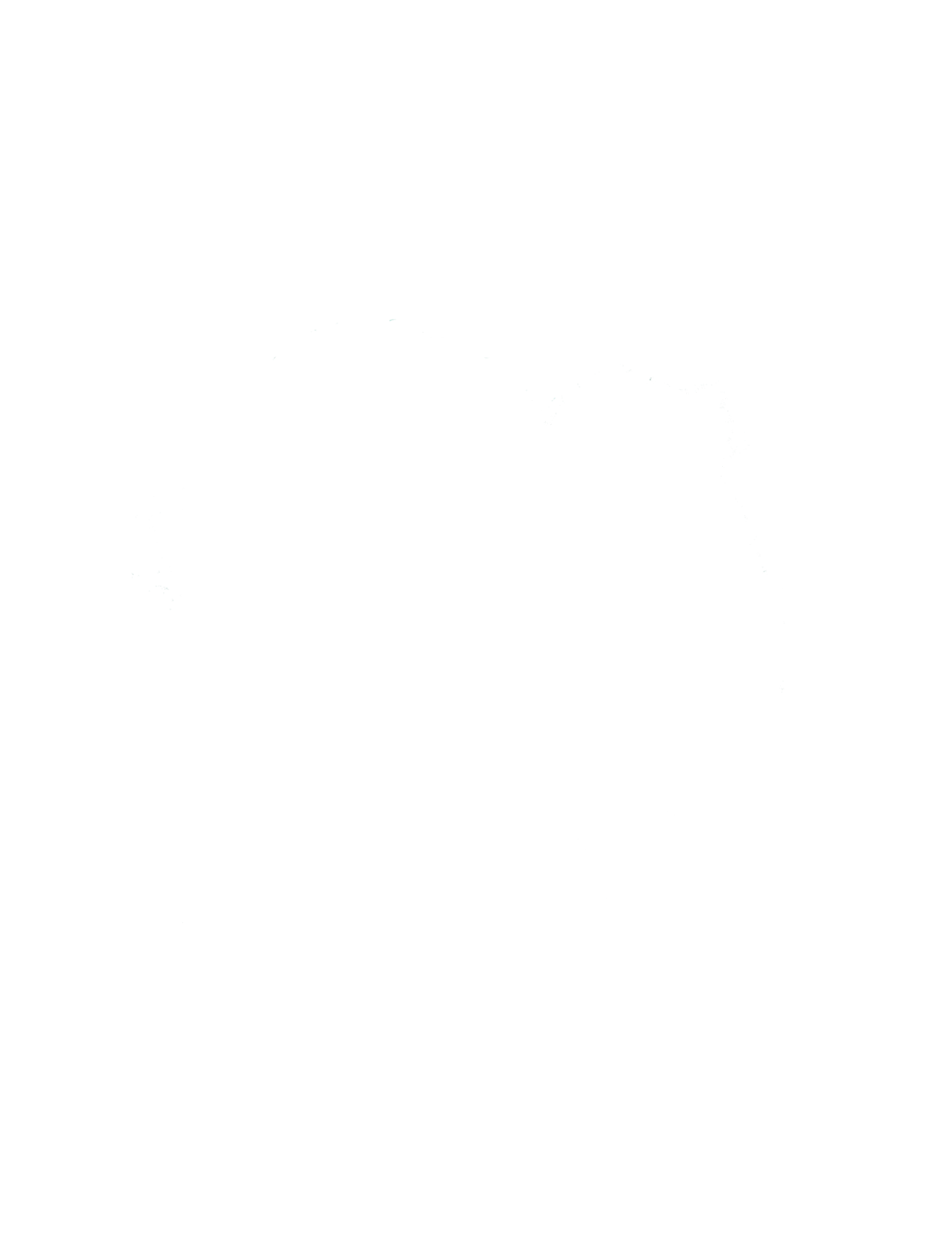 Natasha James Portfolio